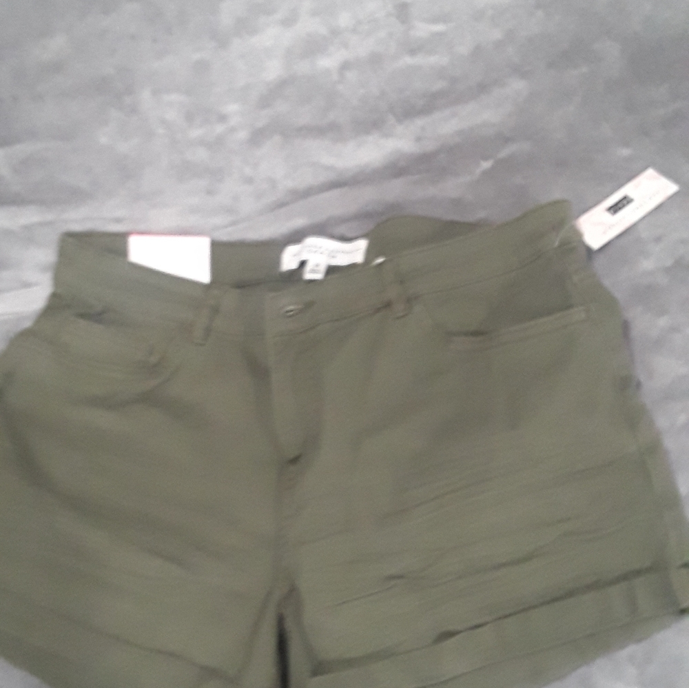Shorts - Picture 2 of 2